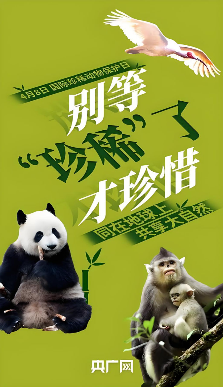医疗剧